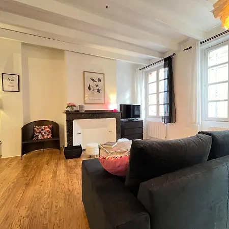 6p Au Coeur Des Carmes Apartamento Toulouse